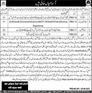District and Session Courts Qila Abdullah Jobs 2024