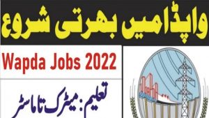 PTS Wapda Jobs Roll No Slip 2024 Download Online