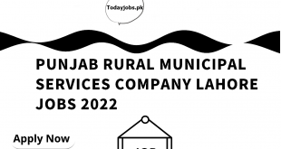 Punjab Rural Municipal Services Company jobs 2024 Apply Online