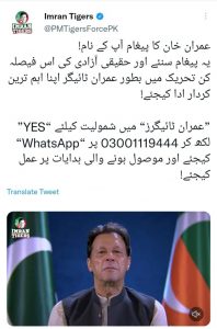 Imran Tigers Whatsapp number