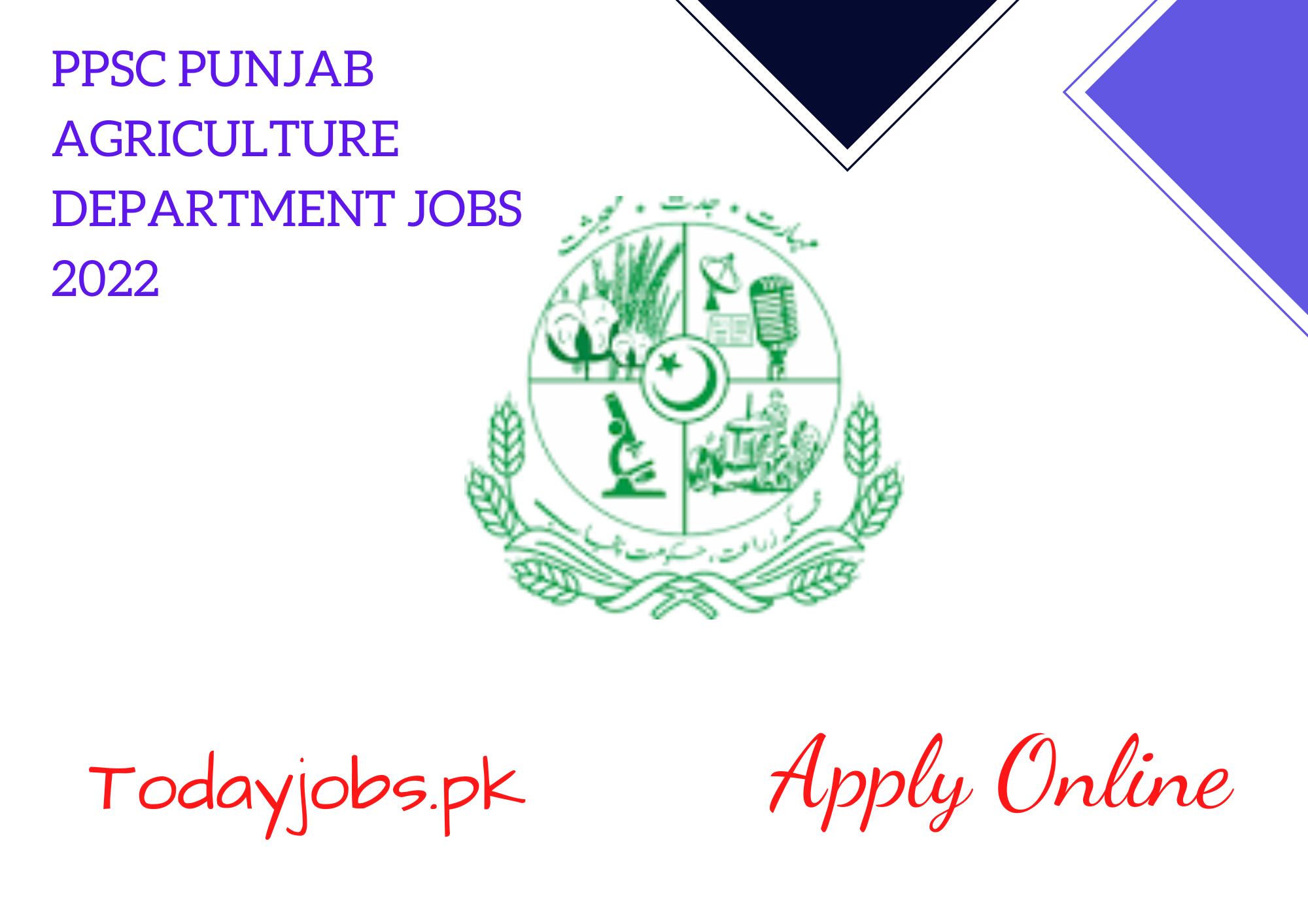 Punjab Agriculture department jobs 2024