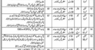 Punjab Police Class IV Jobs 2024 | Application Form Download