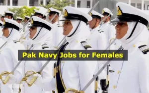 Navy Jobs For Females 2023