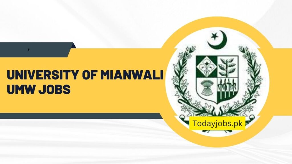University of mianwali umw Jobs 2024 advertisement