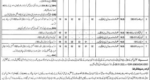 District Health Authority Jhang Class IV Jobs 2023