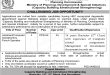 Ministry of Planning Commision Jobs