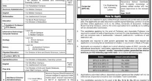 University of Education Lahore Jobs 2024