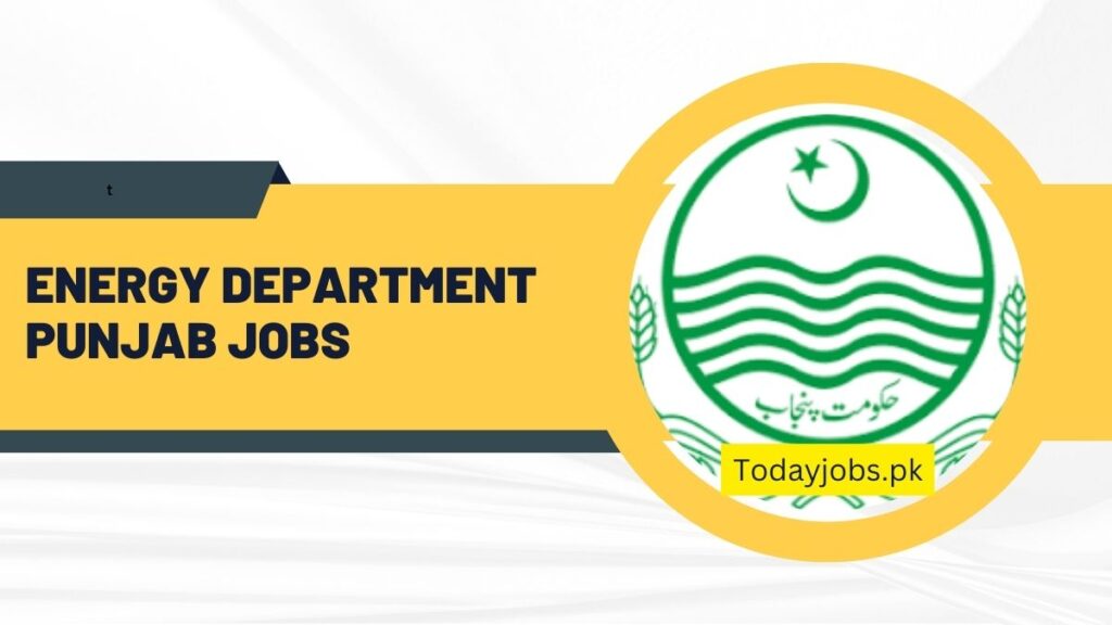 Energy Department Punjab Jobs 2024 Apply Online Last Date
