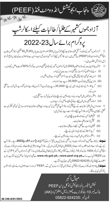 PEEF Scholarship For AJK Students 2023 Advertisement