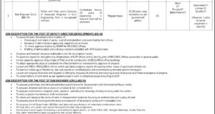 ECP Jobs 2024 Apply Online | Advertisement Paper