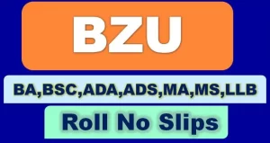 BZU Roll No Slip 2024