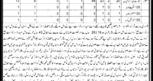 School Education Department Balochistan Jobs 2023 Apply Online