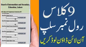 BISE Lahore Board 9th Class Roll Number Slip