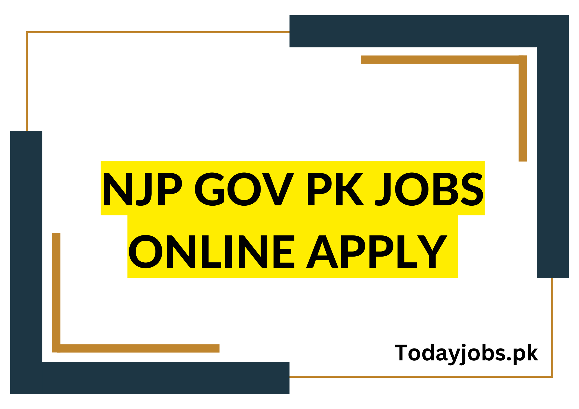 Njp gov pk Jobs Online Apply