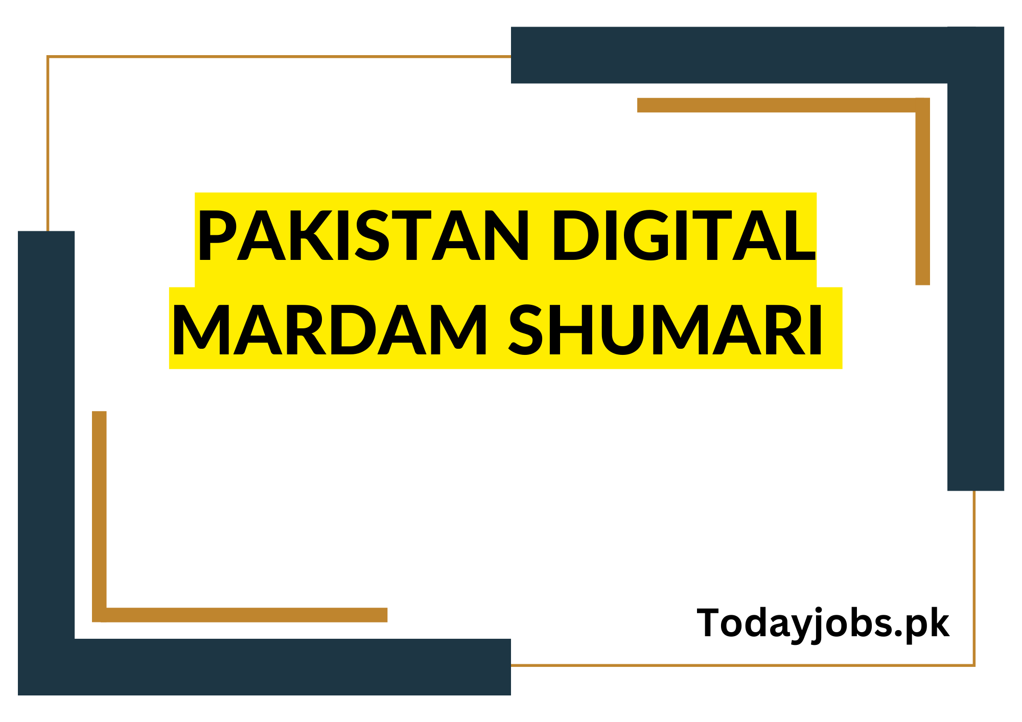 Pakistan Digital Mardam Shumari 2024