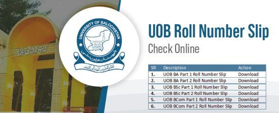 UOB NTS Entry Test Roll No Slip 