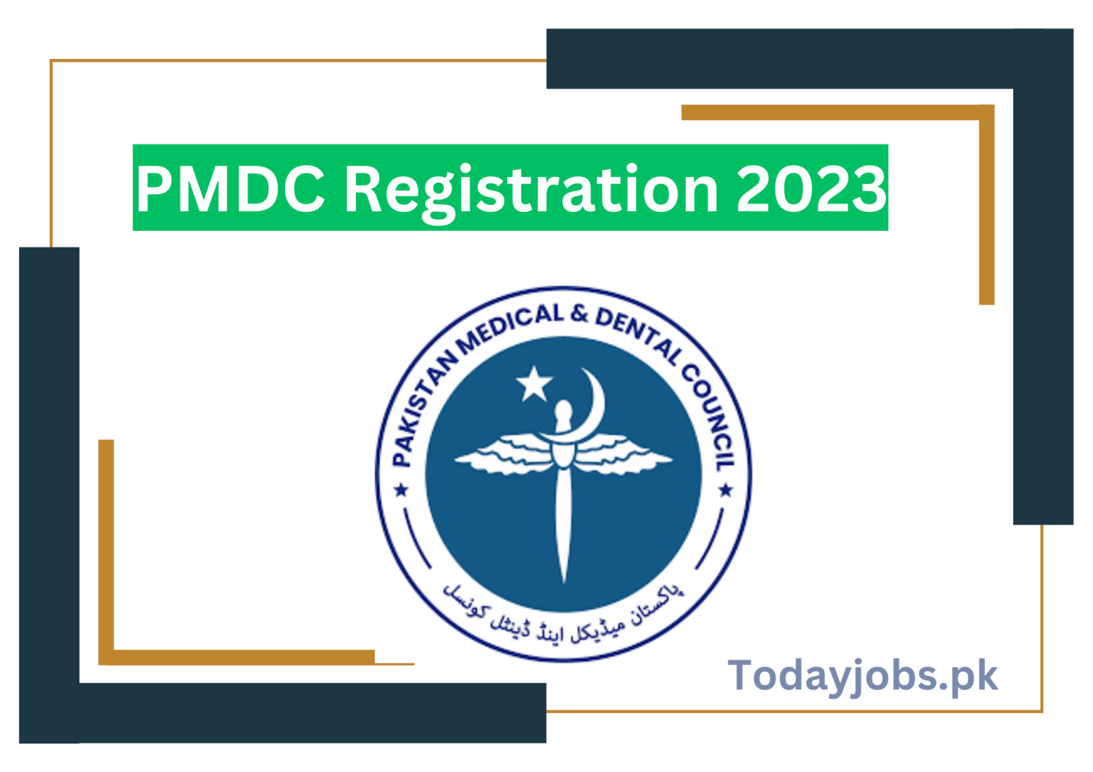 PMDC Registration 2023 1536x1086 