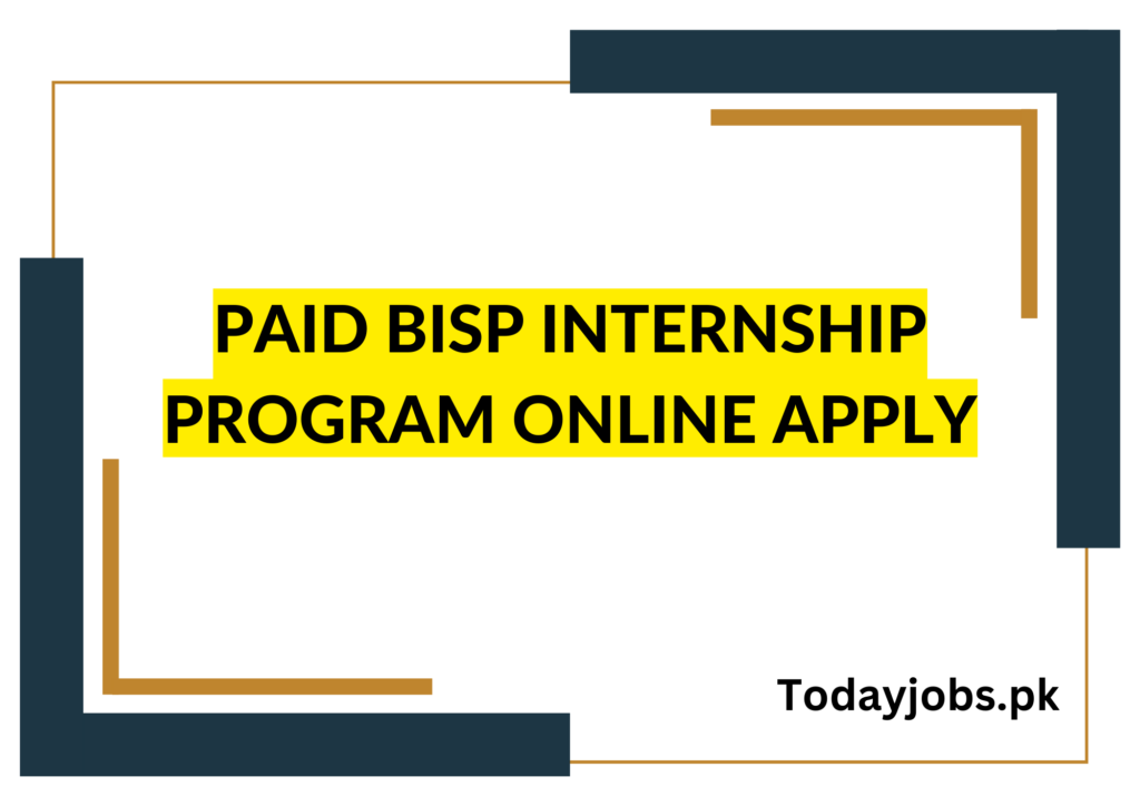 Paid BISP Internship Program 2023 Online Apply
