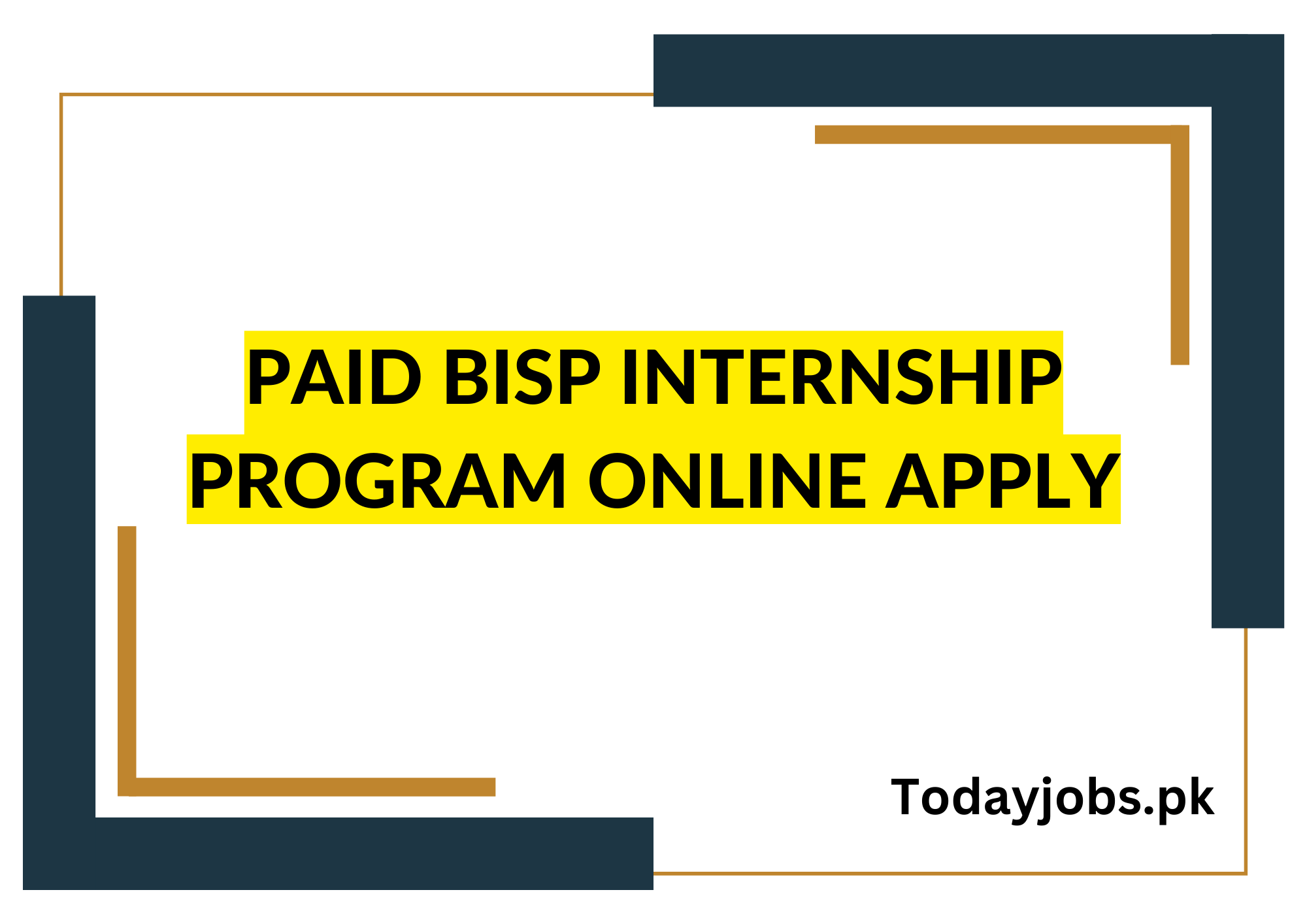 Paid BISP Internship Program 2024 Online Apply