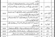 Sindh Record Management Cell Jobs 2023 Application Form