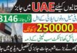 Dubai Job Free Visa for Pakistani 2024