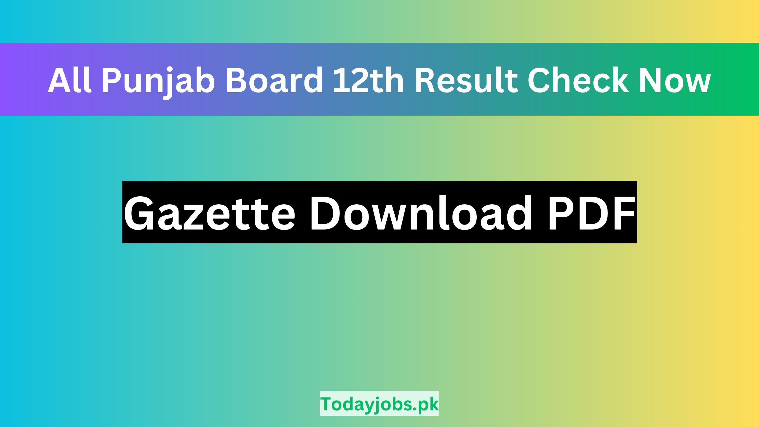 All Punjab Board 12th Class Result Gazette Download PDF 2024
