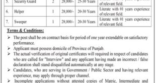 TDCP Lahore Jobs 2024 Apply Online Last Date